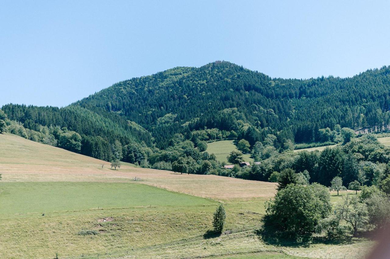 Moderne 2 Zi.-Fewo Blackforest Art Naehe Freiburg Simonswald Exteriör bild